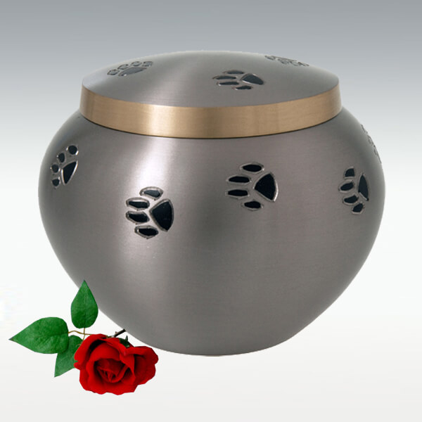 Odyssey Cremation Urn